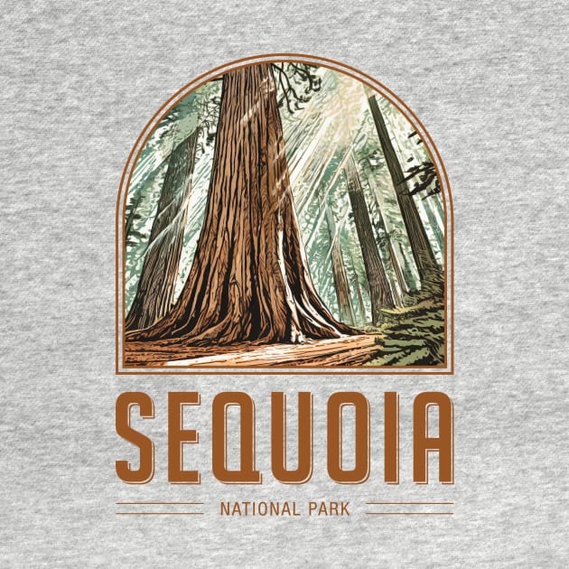 Sequoia National Park by Curious World